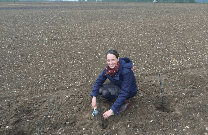 Planting a Domaine Evremond vine in Selling