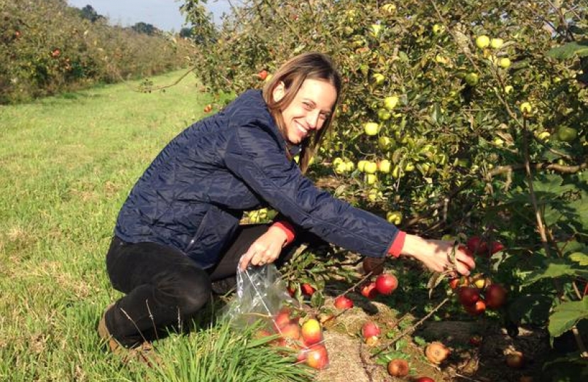 Helen Whately picking fruit