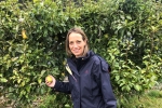 Helen with pear tree