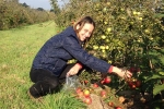 Helen Whately picking fruit